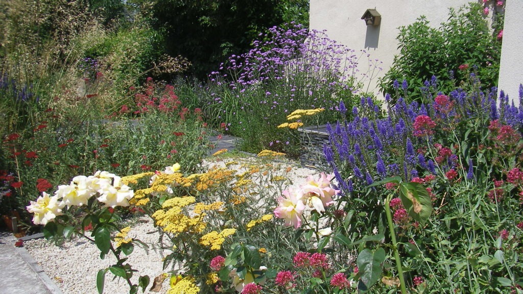 Aux 1001 Saisons Paysagiste Angers AUX 1001 SAISONS Paysagiste Angers Fleurs 1024x576 1